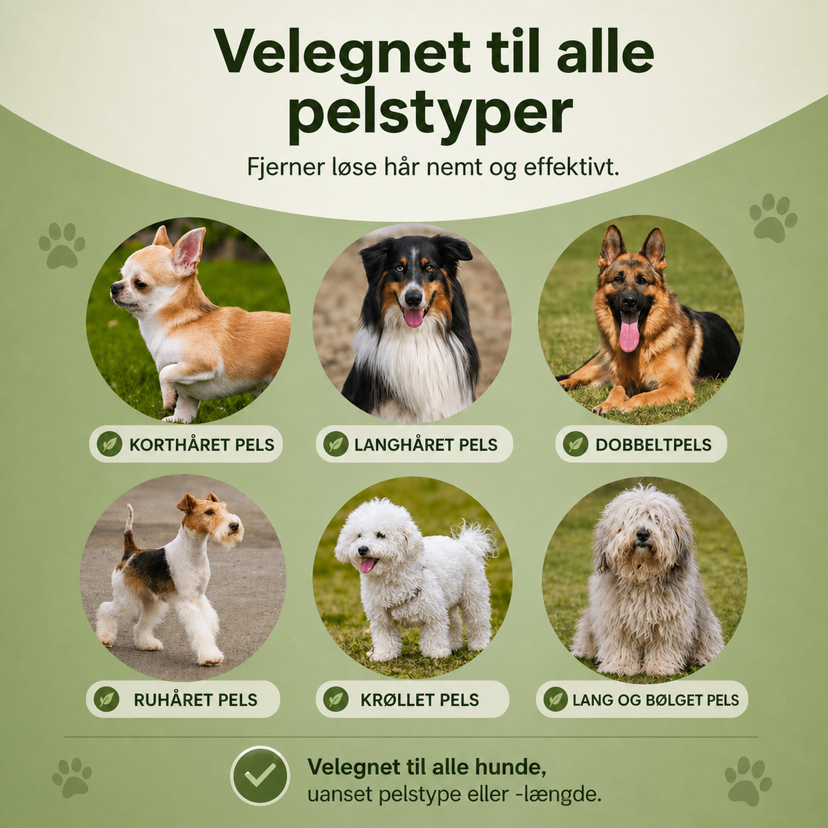 Norindo BrushBuddy - Hundebørste til pelspleje