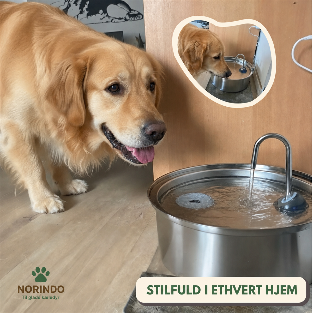 Norindo ForestFlow – Frisk rindende vand til glade firbenede venner