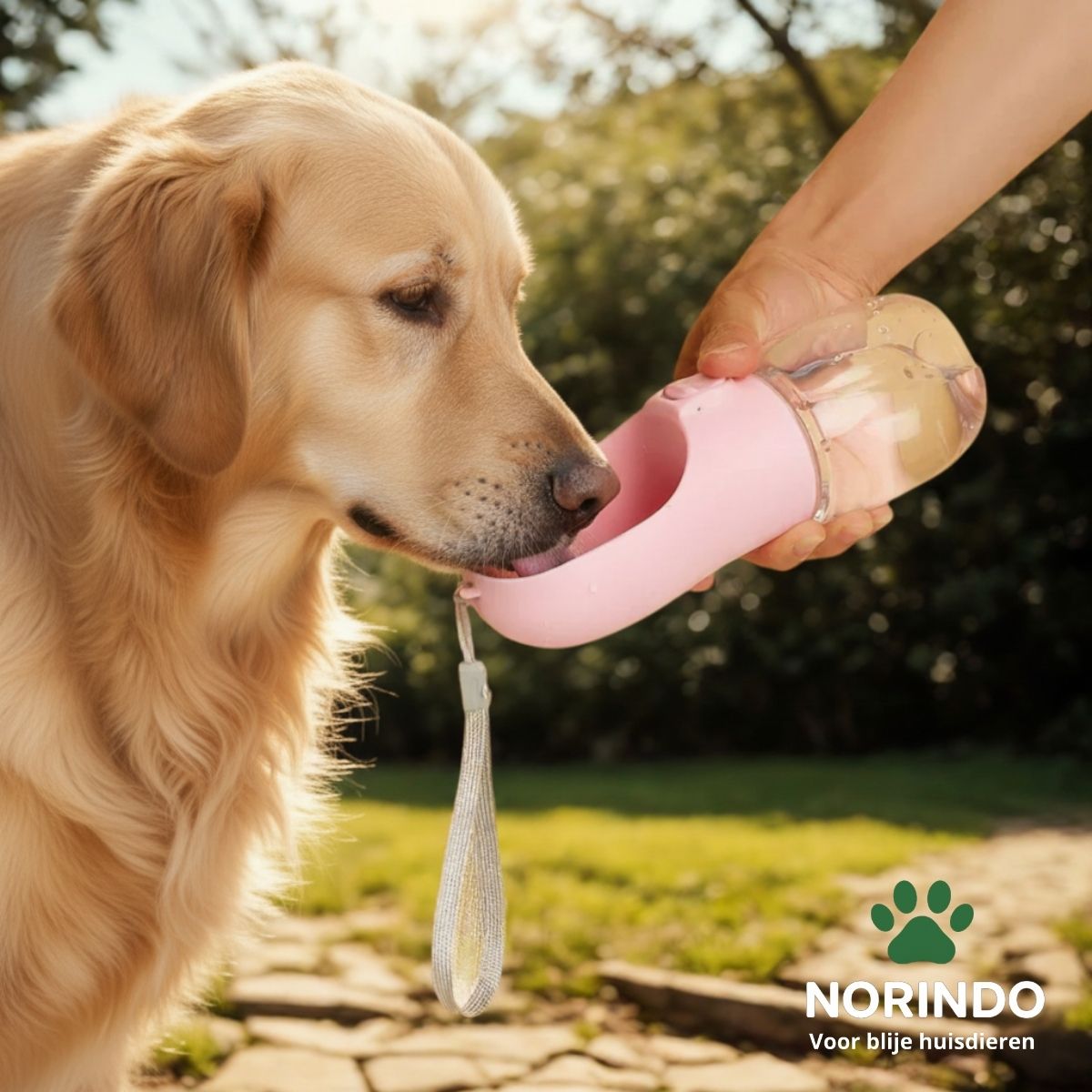 Norindo BuddyBottle – Luksus hundeflaske til på farten