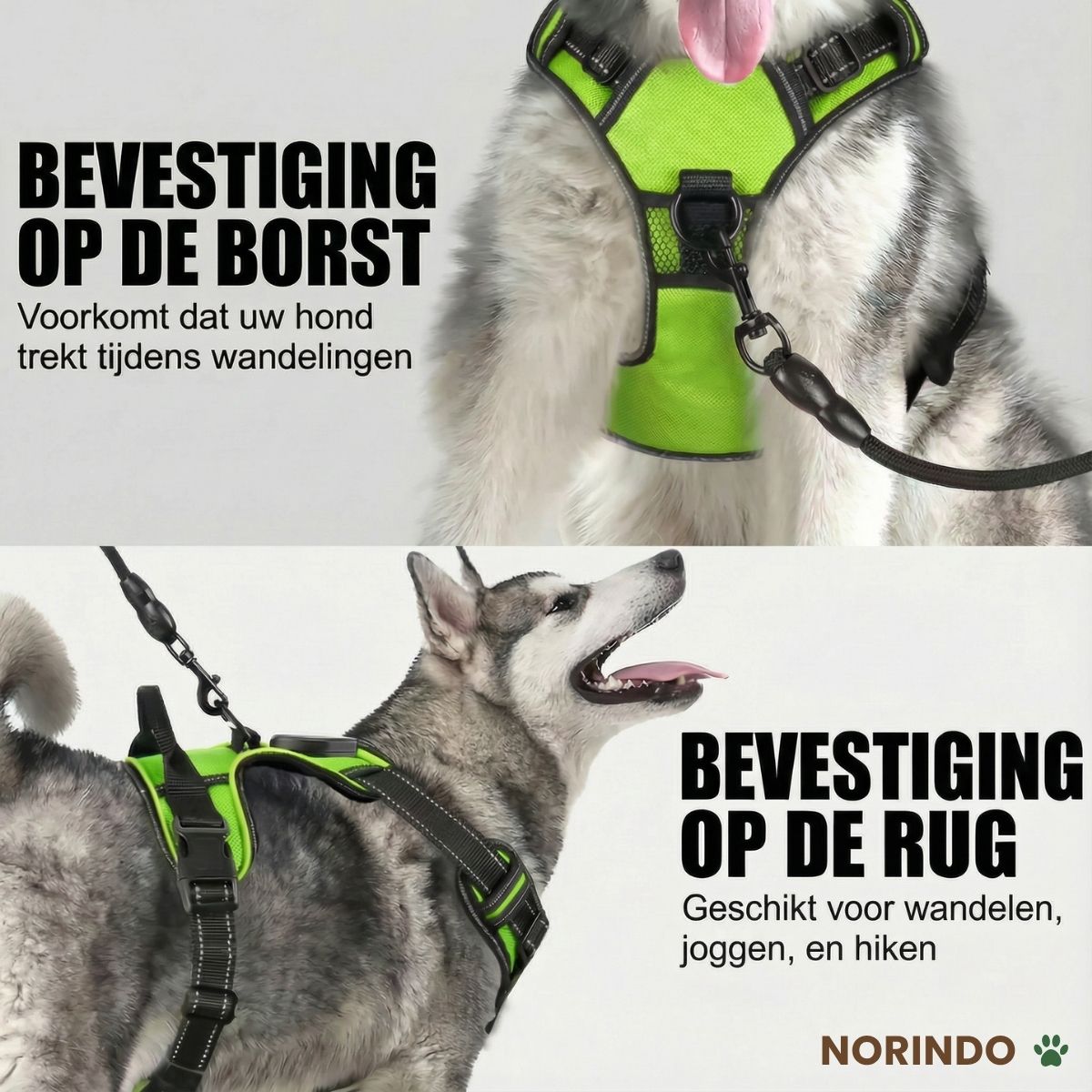 Norindo GlowGuard — Sikkert synlig i mørket