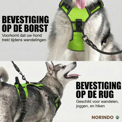 Norindo GlowGuard — Sikkert synlig i mørket