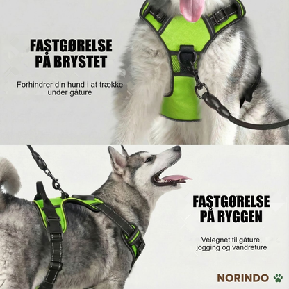 Norindo GlowGuard — Sikkert synlig i mørket