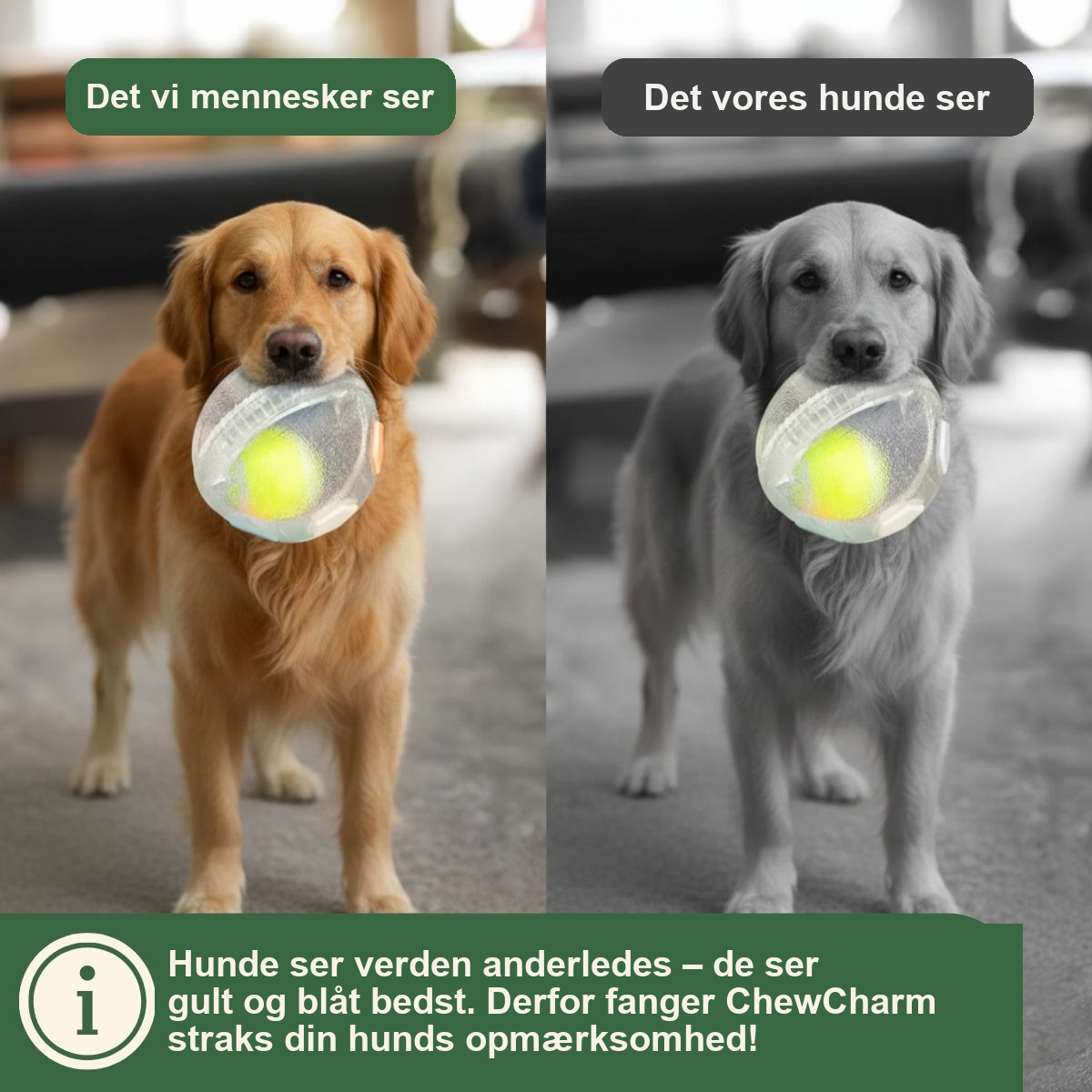 Norindo ChewCharm – Ro gennem naturlig tyggeadfærd