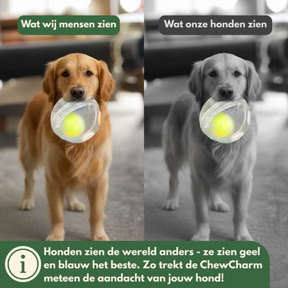 Norindo ChewCharm – Ro gennem naturlig tyggeadfærd
