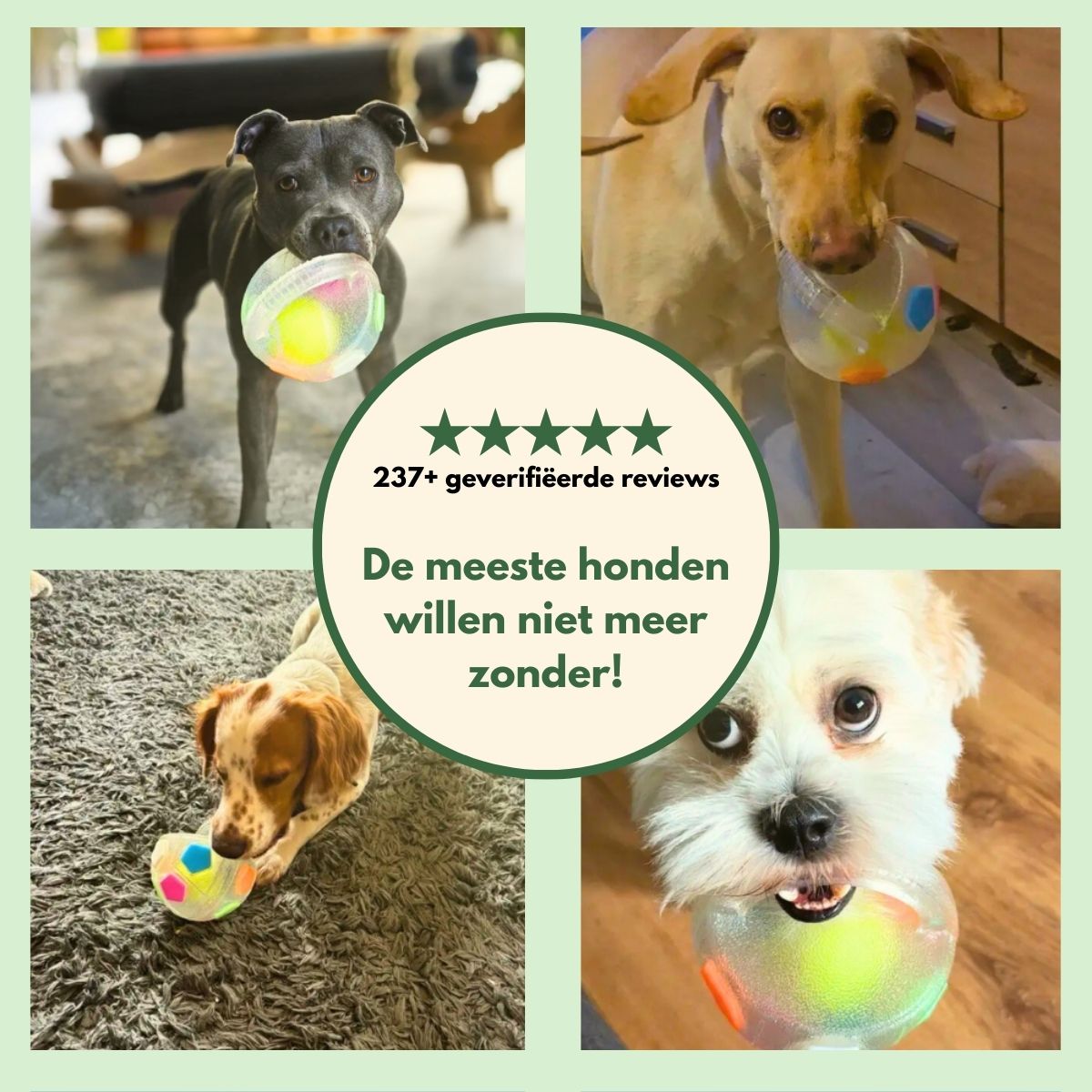 Norindo ChewCharm – Ro gennem naturlig tyggeadfærd
