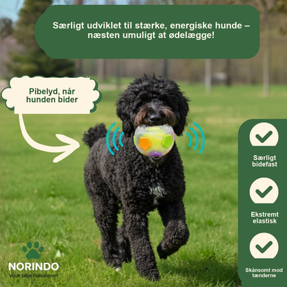 Norindo ChewCharm – Ro gennem naturlig tyggeadfærd