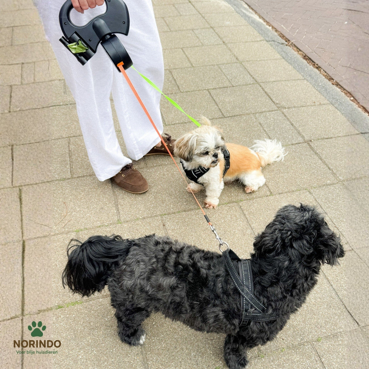 Norindo CordControl - To Hunde, Nul Knuder