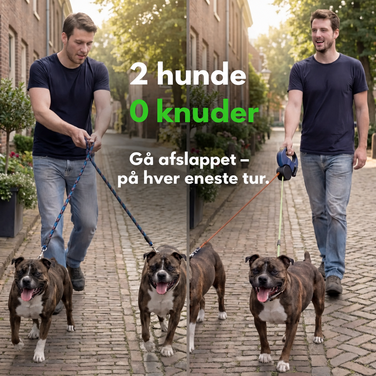 Norindo CordControl - To Hunde, Nul Knuder