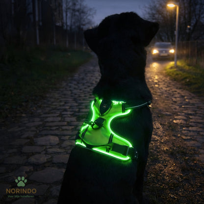 Norindo GlowGuard — Sikkert synlig i mørket