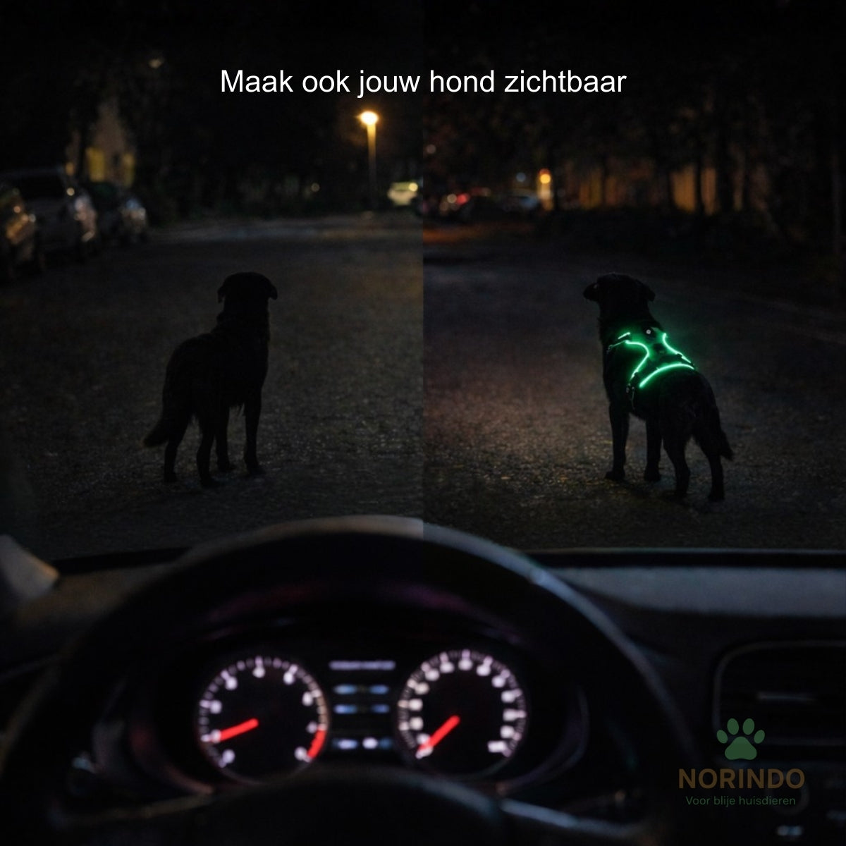 Norindo GlowGuard — Sikkert synlig i mørket
