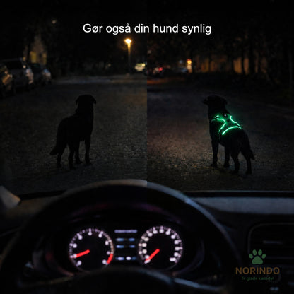 Norindo GlowGuard — Sikkert synlig i mørket