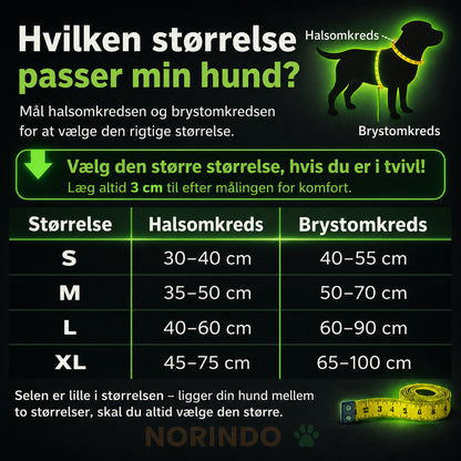 Norindo GlowGuard — Sikkert synlig i mørket