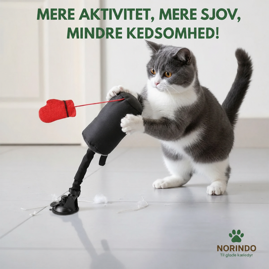 Norindo PunchPole – Holder din kat aktiv & i form