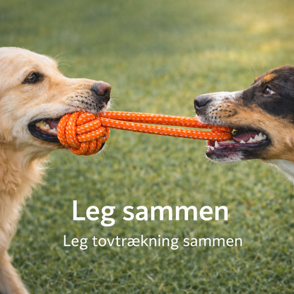 Norindo RopeRally – Solidt Trække- og Legereb til Hunde