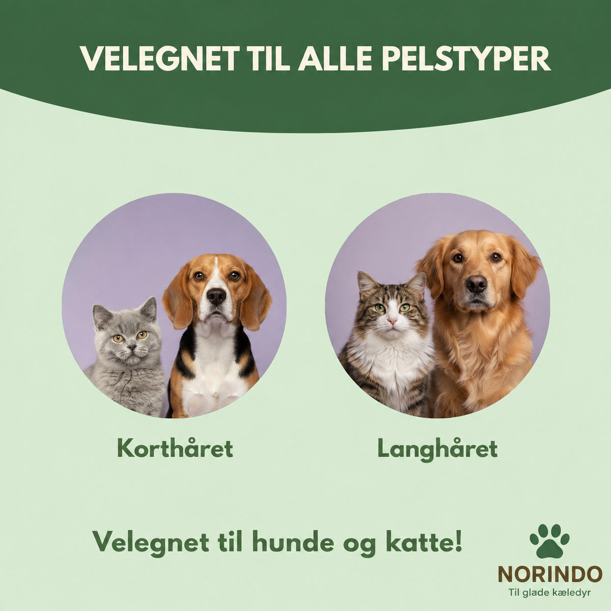 Norindo SilkySwipe – Holder pelsen skinnende og fri for filtknuder