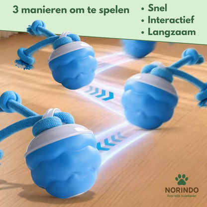 Norindo TwistyTail – Ruller automatisk, med bevægelsessensor