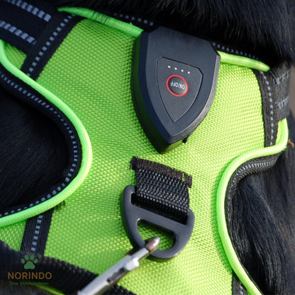 Norindo GlowGuard — Sikkert synlig i mørket