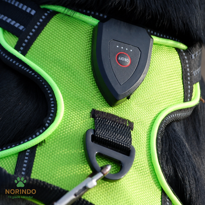 Norindo GlowGuard — Sikkert synlig i mørket