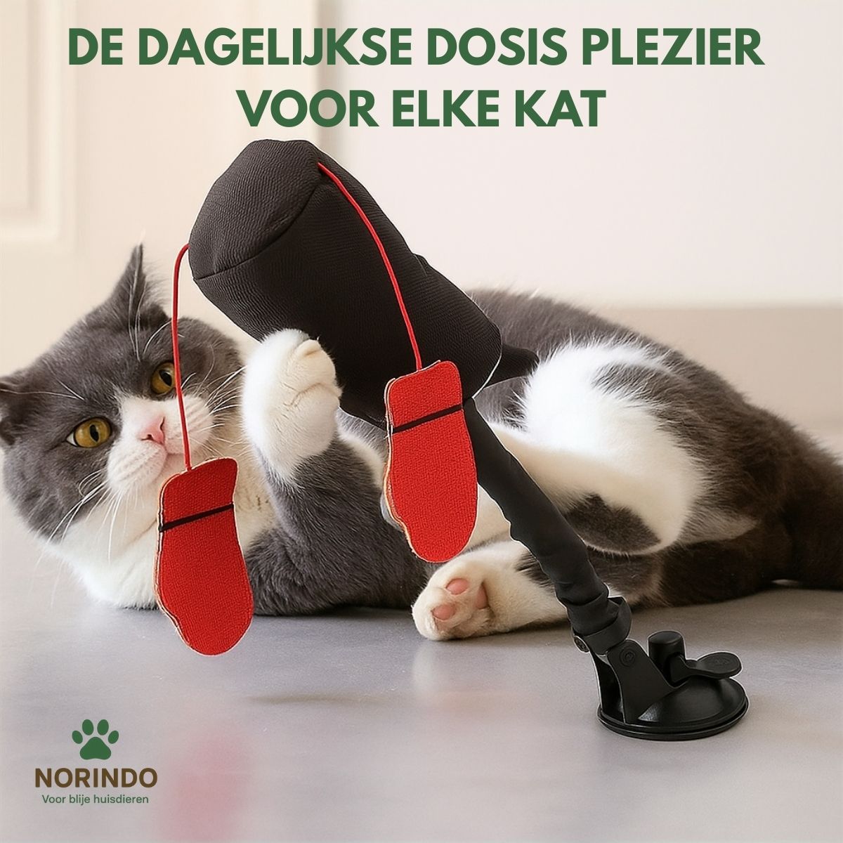Norindo PunchPole – Holder din kat aktiv & i form